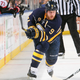 Illustration for article titled Steve Ott Wishes Buffalo Fans Wouldnt Boo The Sabres So Much